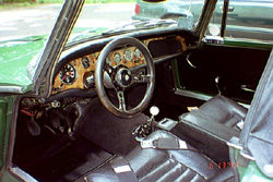 Tiger interior