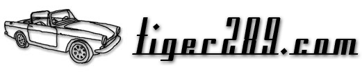 Tiger 289